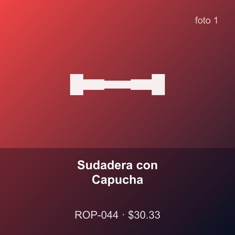 Sudadera con Capucha