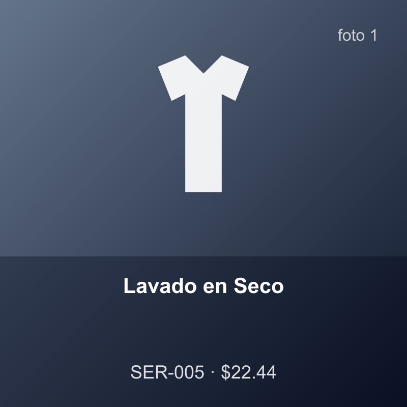 Lavado en Seco